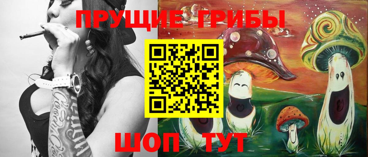 Галлюциногенные грибы MAGIC MUSHROOMS  Вход с VPN  Светлоград 