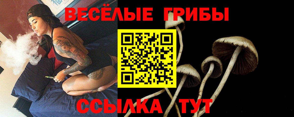 Галлюциногенные грибы Magic Shrooms Светлоград